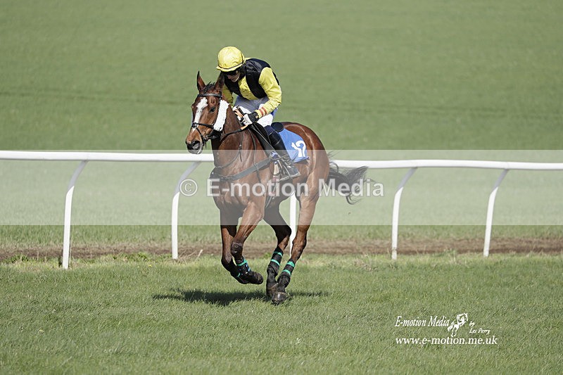 PtP 100423 731 - Old Berkshire Point-to-Point Lockinge 10/04/23