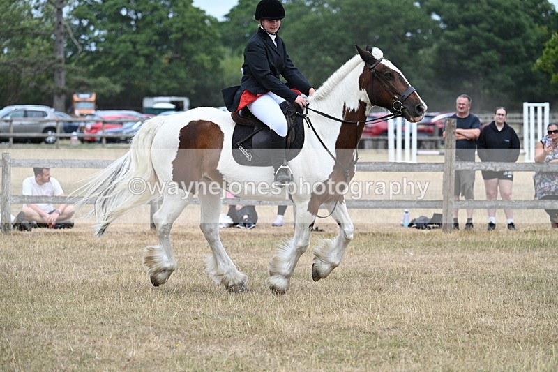 WJ7_1383 - Class 8 Ridden Veterans