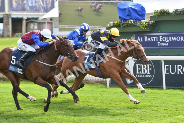 yr12052021r6-21 - Race 6 4.15pm British Stallion Studs EBF Novice Stakes