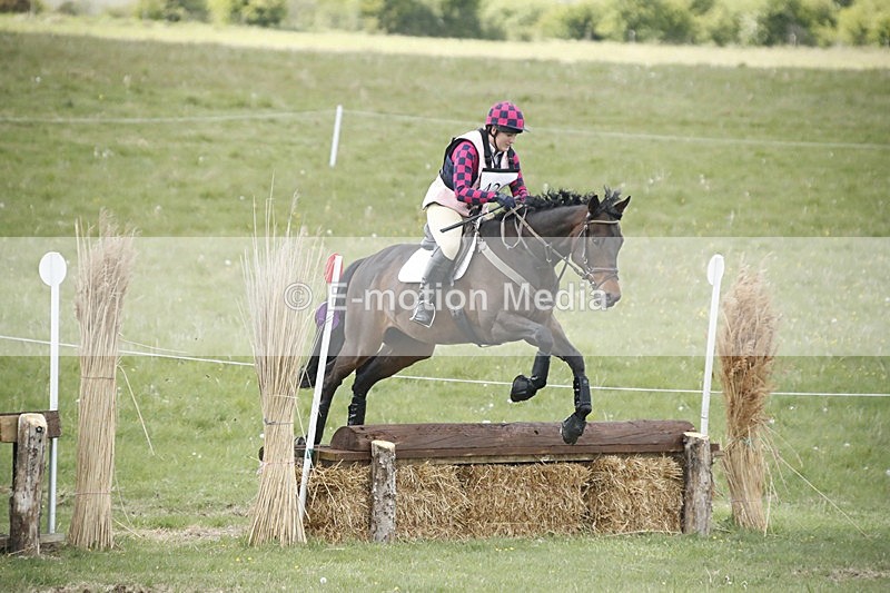 BVHT 140517  NXC -502 - Class 2 XC Novice 14/05/17