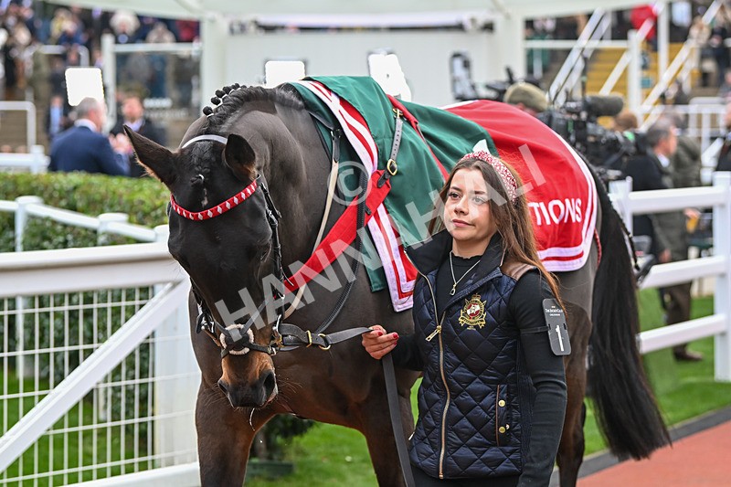 161124-Race 5-Paddock-Gowel Road-0696 - Race 5