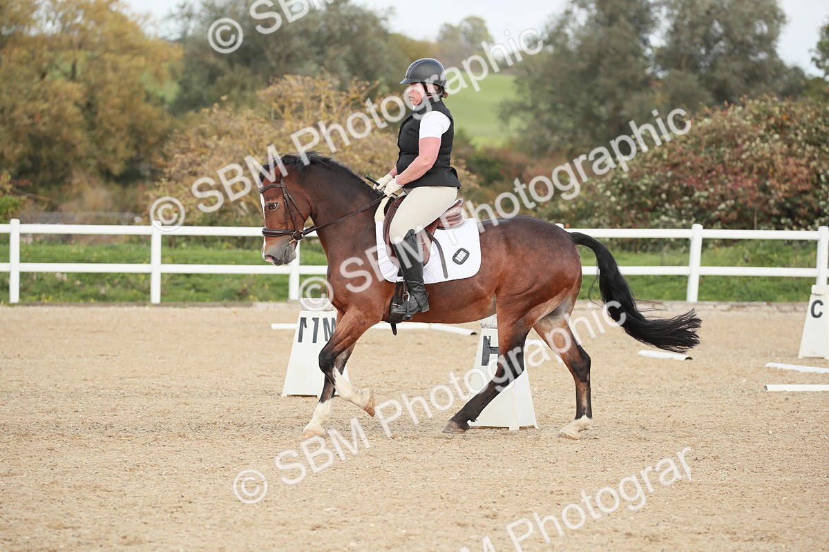 SBM_002206 - Class 6 - Elementary 5