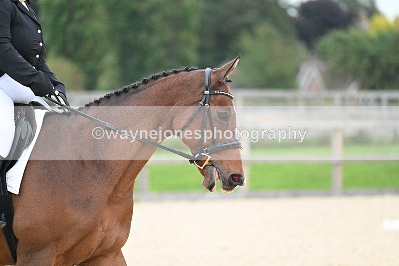 WJ7_2461 - Class 2 & Champs