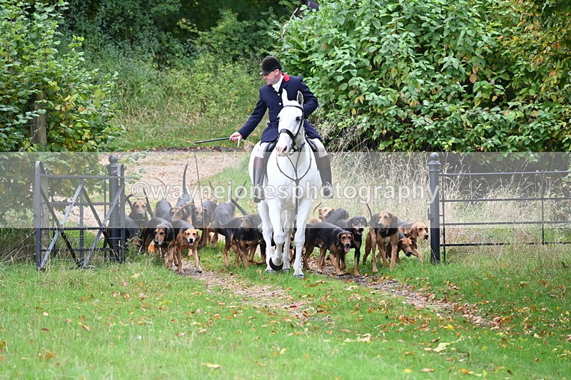 WJ6_0037 - Camera 2 Meet