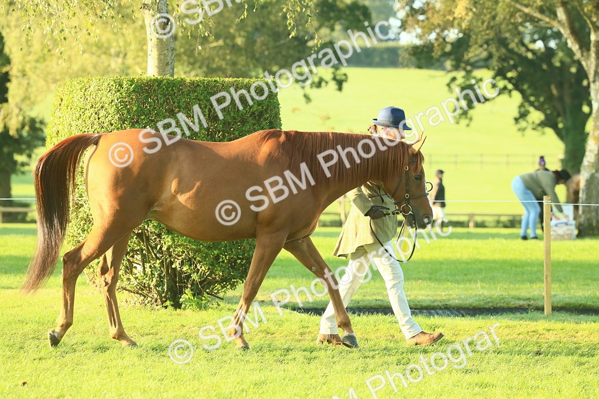 SBM_56786 - S36 - Starters Best Turnout