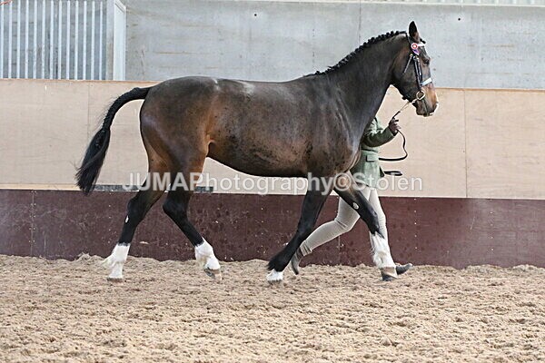 SIAL9685 - Indoor Classes