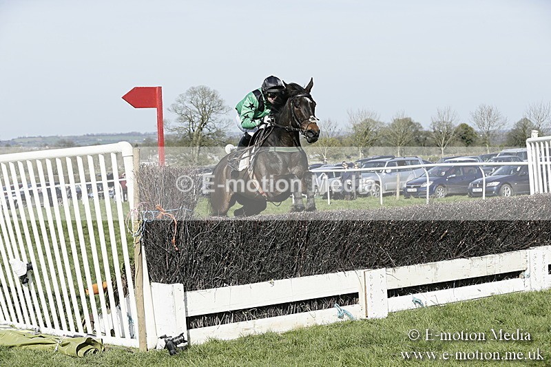 PtP 260317 295 - Mendip Farmers Point-to-Point Ston Easton 26/03/17