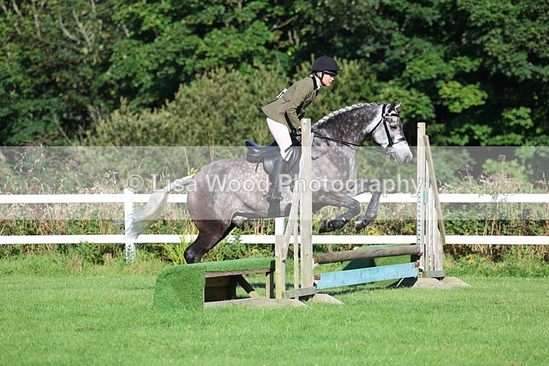 3E7A7533 - Class 1: Novice Working Hunter Pony