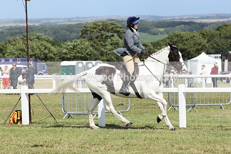 JPP_2477 - Class 19: Working Hunter 60cm