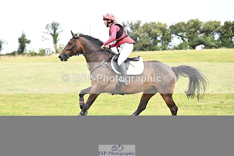 TS_b3124480 - SAT BE 90 Recovered Files fence 8