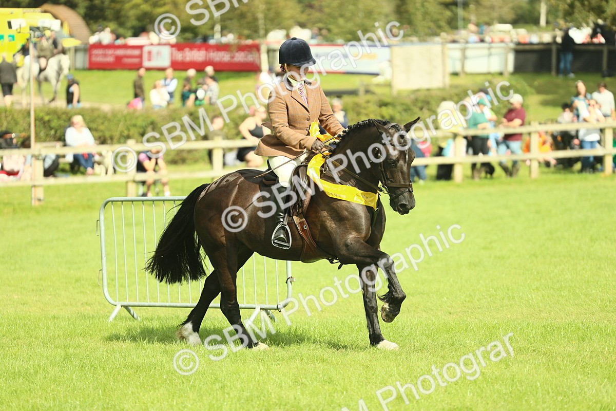 SBM_44840 - S31 - Working Hunter Pony