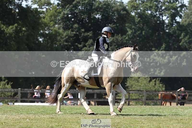 250823A-133605-31328 - Arena D