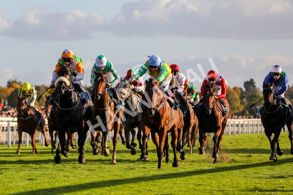 yr08102022r7-27 - Race 7 5.00pm The Coral Gets You Closer To The Action Stakes