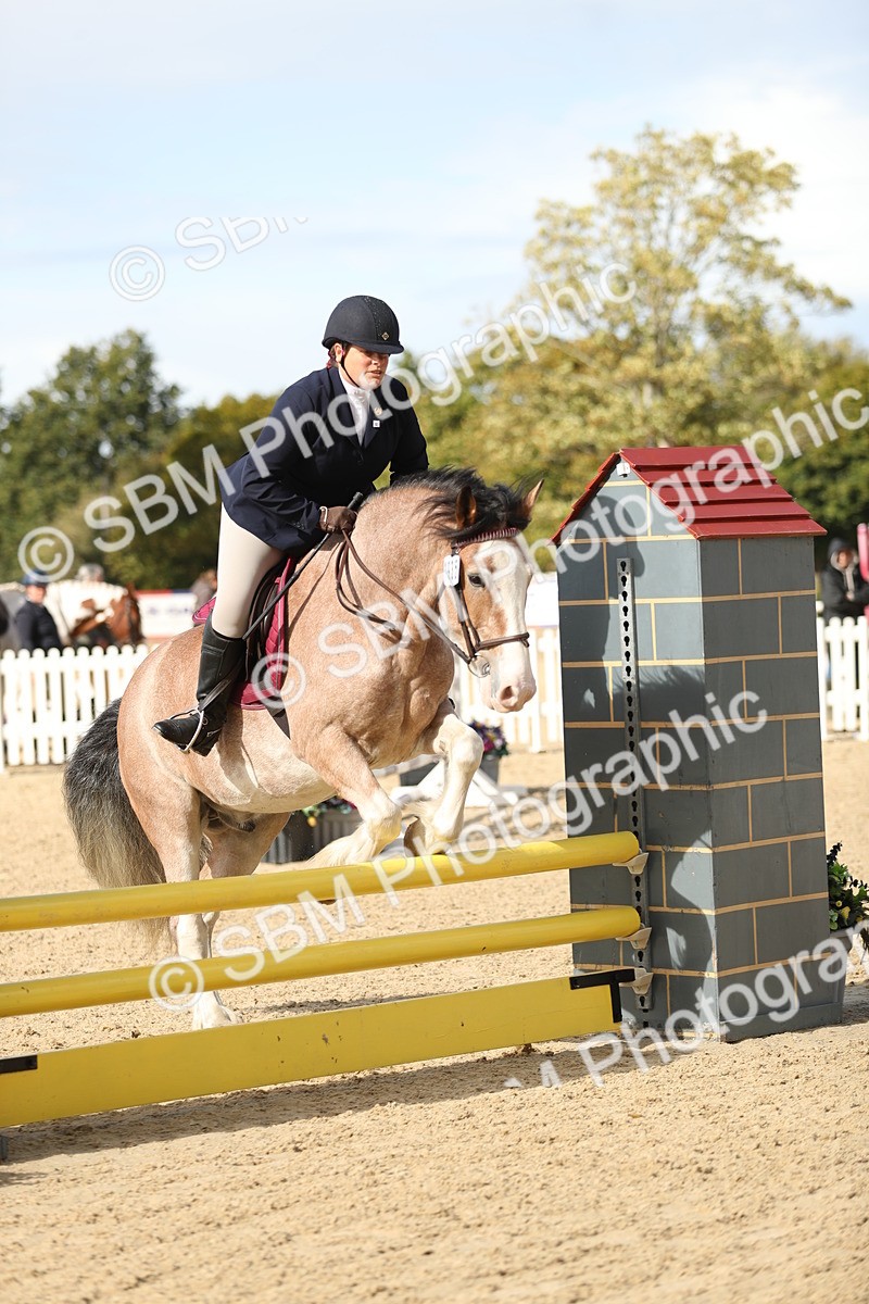 SBM_09925 - J36 - Veteran Rider 70cm