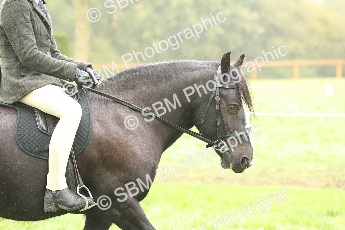 SBM_72653 - S70 - Traditional Cob Ridden