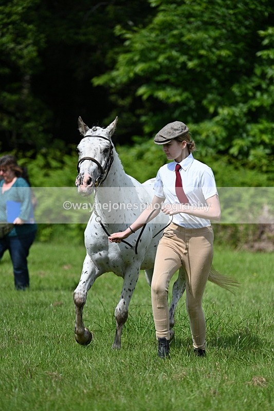 WJ7_1307 - Class 11 Condition & Turnout