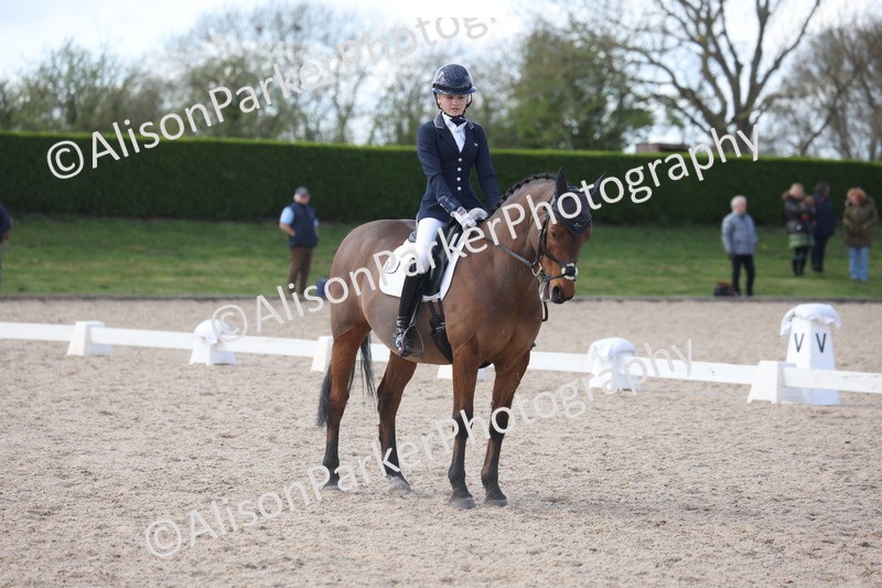 20260405-0900 - Pony FEI