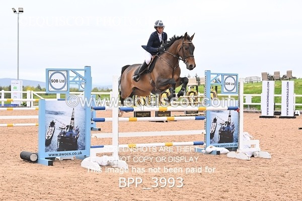 BPP_3993 - CLASS 17 SUN Senior Foxhunter/1.20m Open
