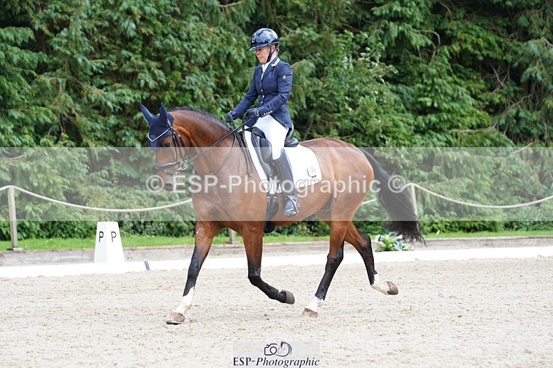 240721-151608-10033 - 195-Dawn_Bear-First_Taylor_Made