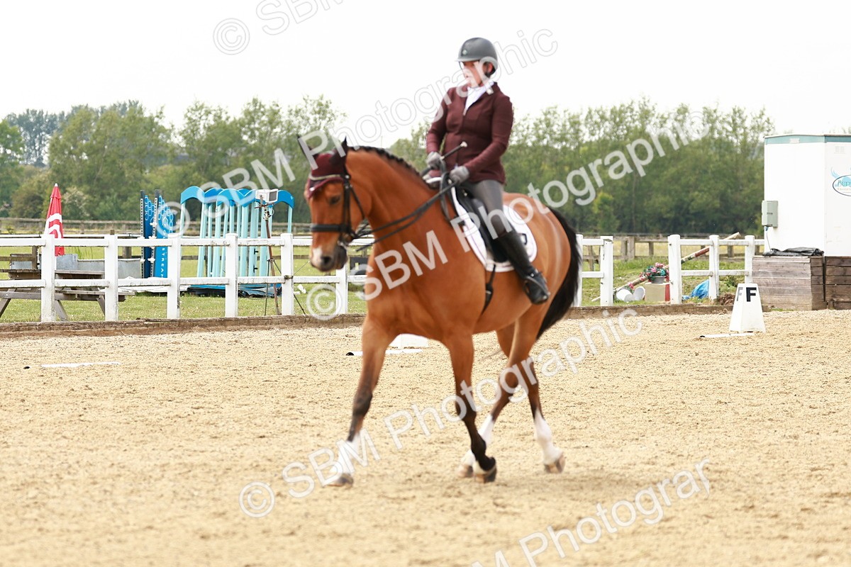 SBM_002804 - Class 12 - Medium 4