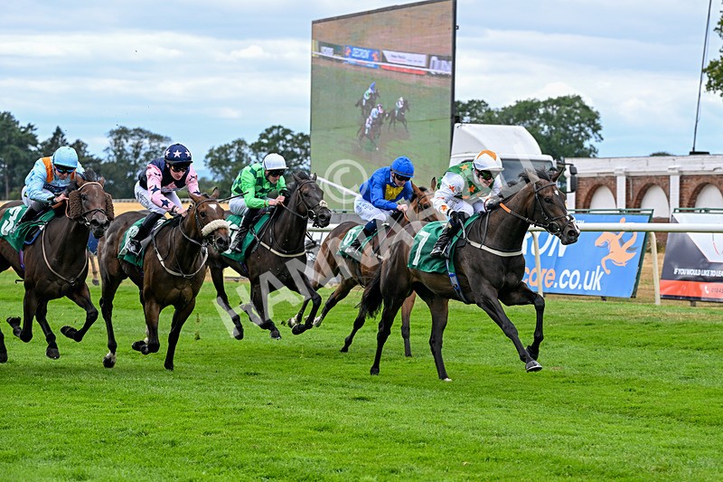 070826-Race 2-Prosperity Angel-1500 - Race 2 14.40pm Bob Vickery Memorial Restricted Maiden Fillies' Stakes