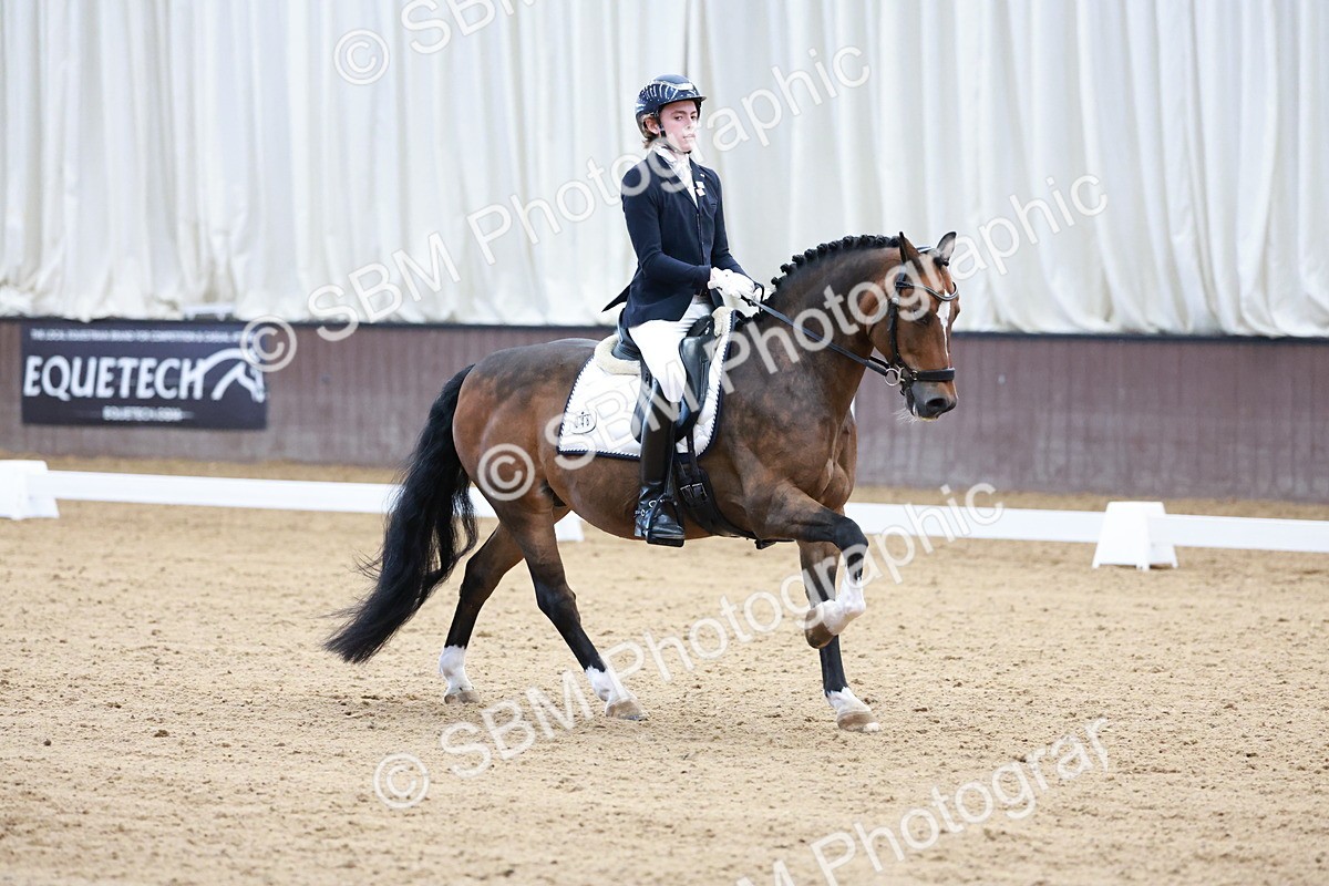 SBM_017163 - Class15 - FEI Pony