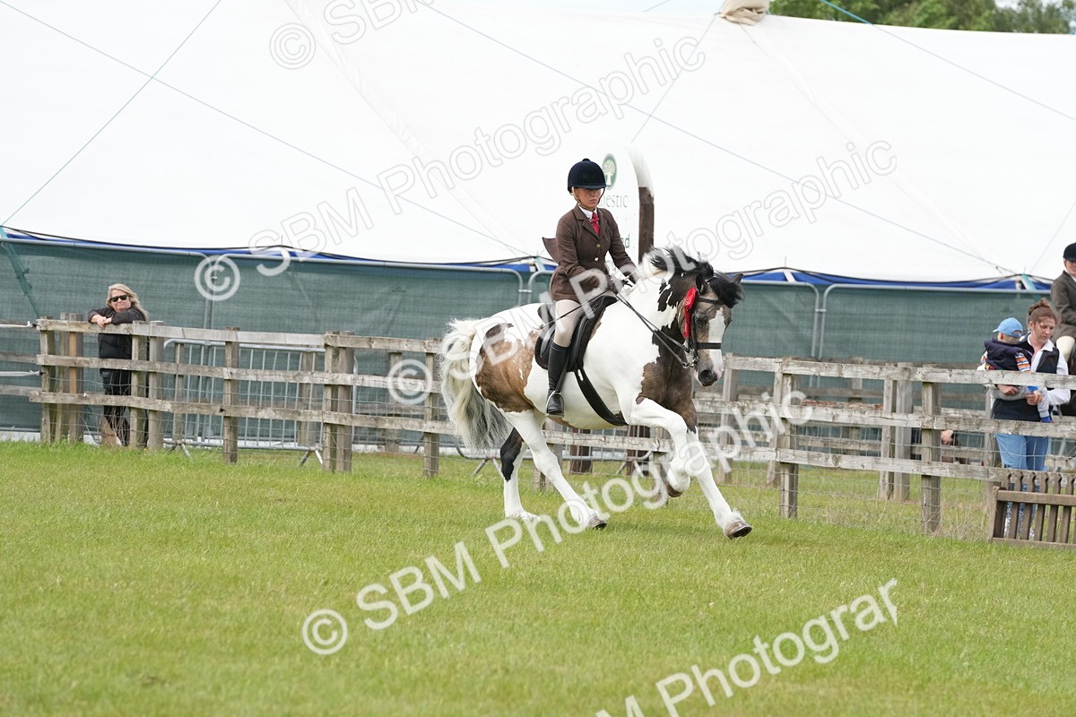 SBM_17670 - Class 107-108 - LIHS BSPS Performance Coloured Horse Pony