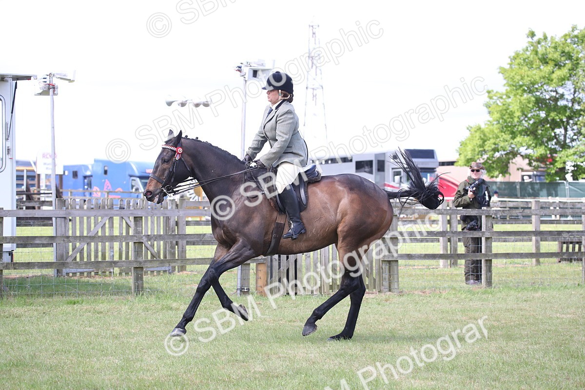 SBM_14218 - Class 113-114 - Retraining of Racehorses Ridden