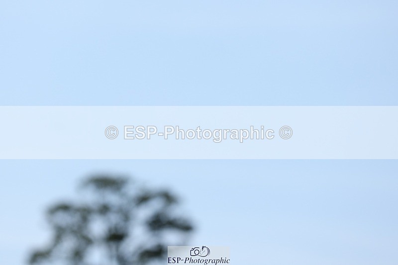 250823A-135758-31423 - Arena D