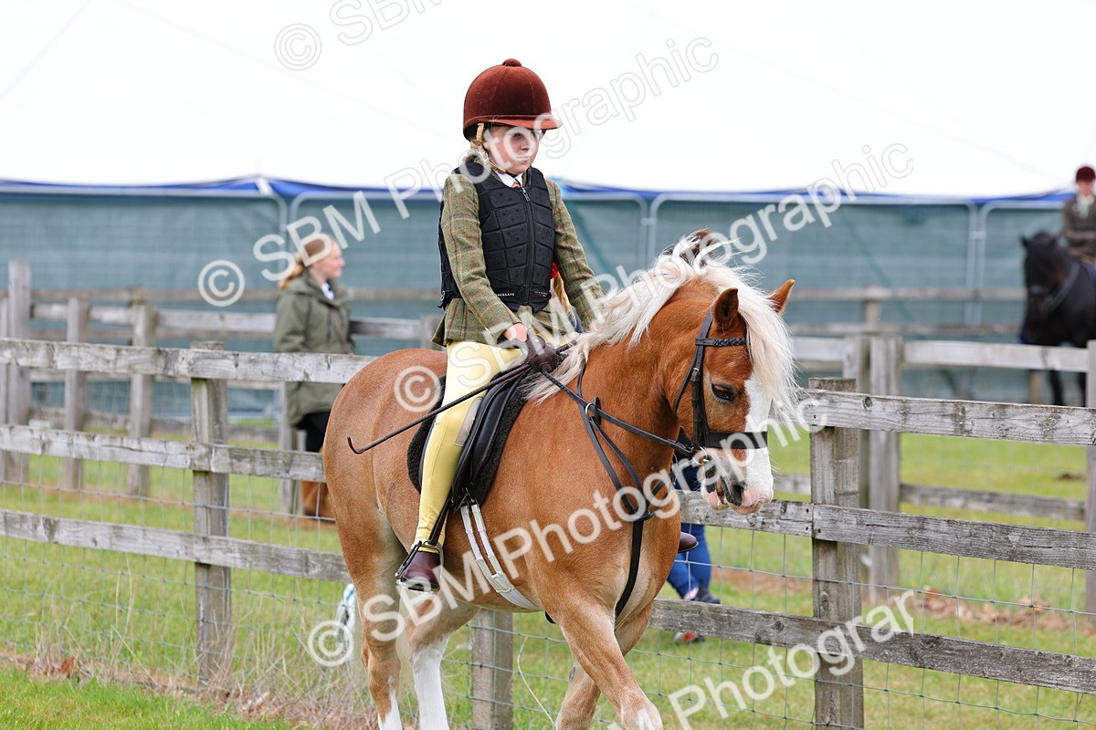 SBM_08463 - Class 42-43 - LIHS BSPS Heritage Working Sports Pony