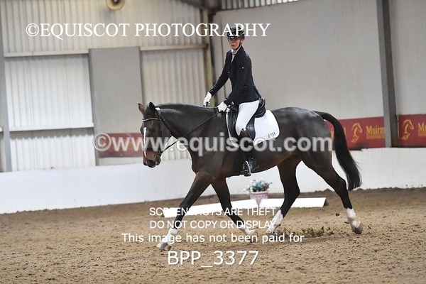 BPP_3377 - INTRO TEST 1