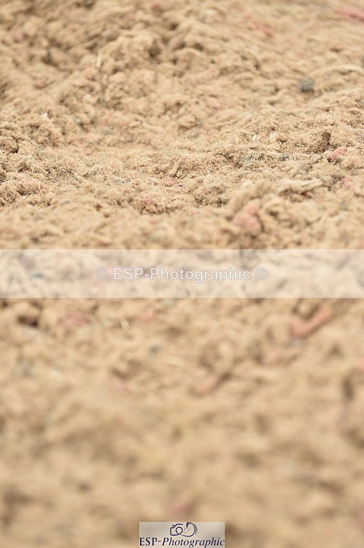 230611A-123536-05529 - Cls 34 1.05m Amateur Qualifier