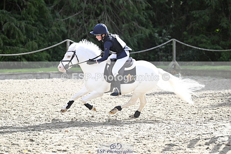 251005A-121736-03711 - Cls 08 Mini 70-75cm