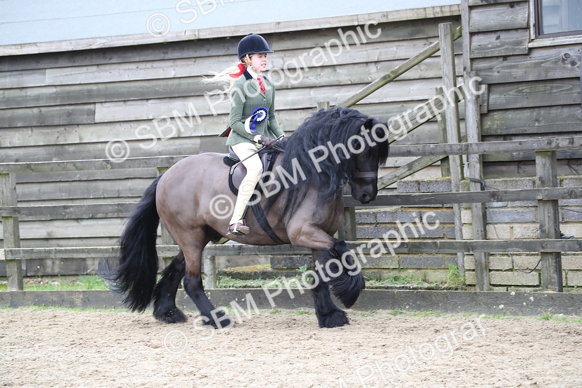 SBM_006257 - Class 10-13 - RIHS Small Large Breeds