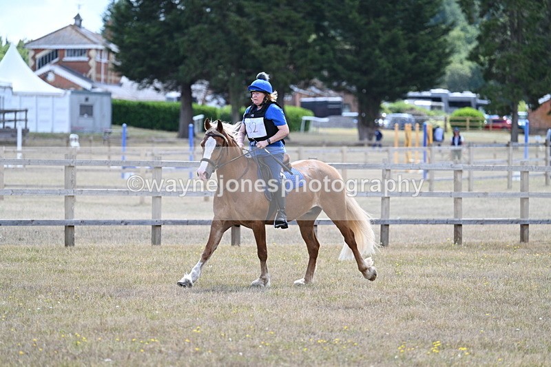 WJ7_0587 - 40cm Time 12:10 to 12:20