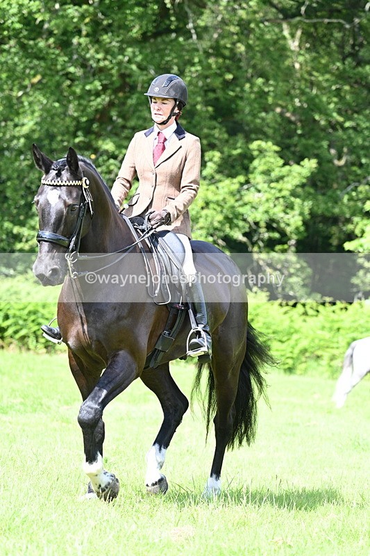 WJ7_1103 - Class 11 Condition & Turnout