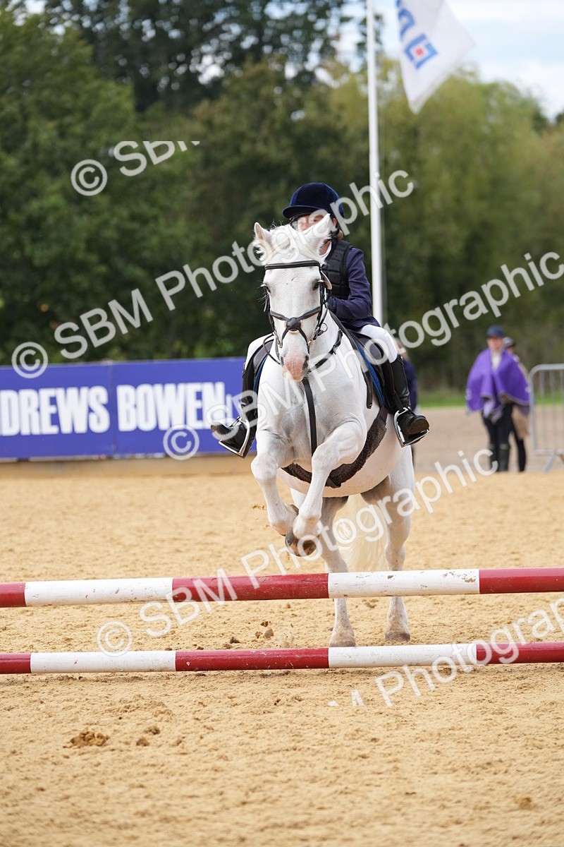 SBM_74760 - J4 - Mini Tour Junior Pony 45cm Championship