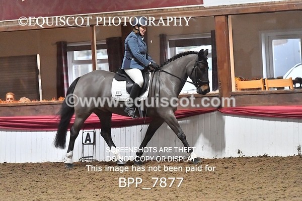 BPP_7877 - ELEM TEST 6