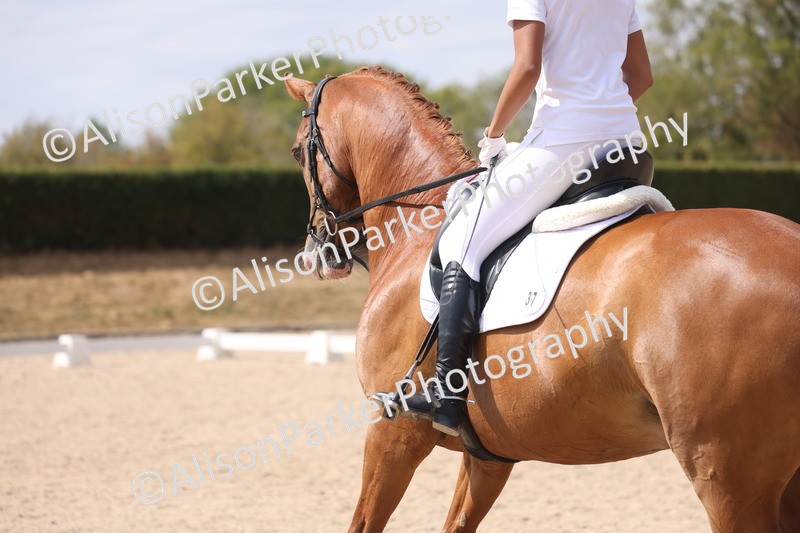 20260815-0976 - Class 5 - Novice 1