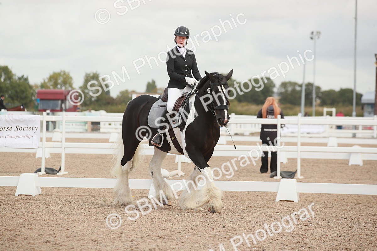 SBM_03818 - Class 31 - Prelim 1