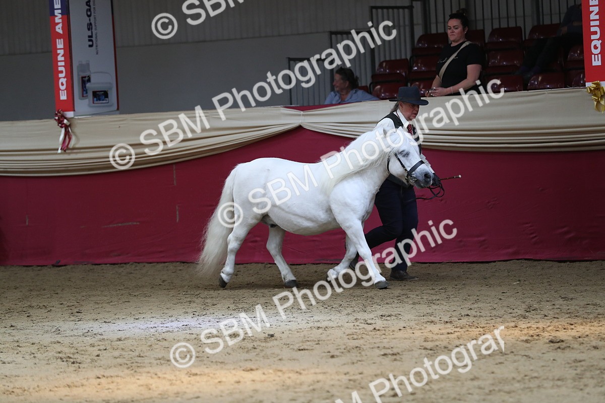 SBM_04916 - Class 8R- Regional -IH Veteran