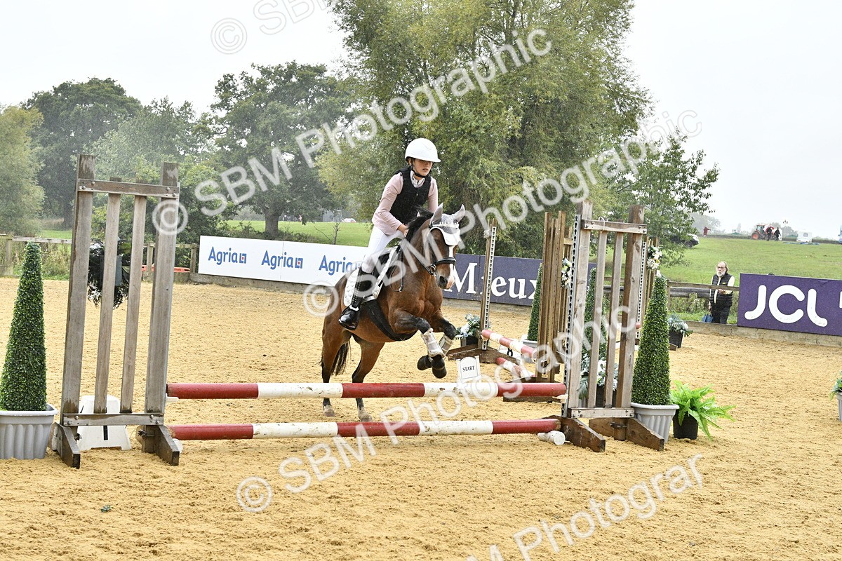 SBM_70991 - J3 - Mini Tour Junior Pony 40cm championship