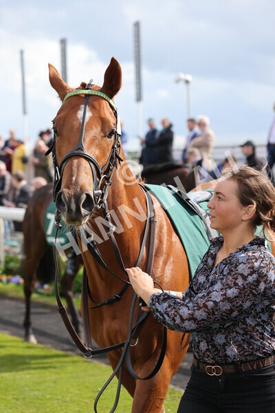 yr11052022r5-5 - Race 5 4.10pm Paddy Power 'Here For The Craic' Stakes