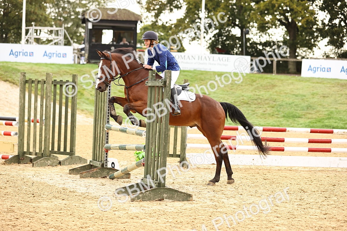 SBM_58238 - J41 - Grand Tour Horse & Pony 95cm