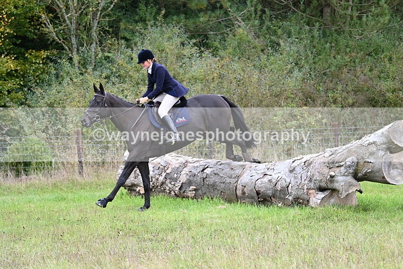 WJ7_3727 - Camera 1 Line 1