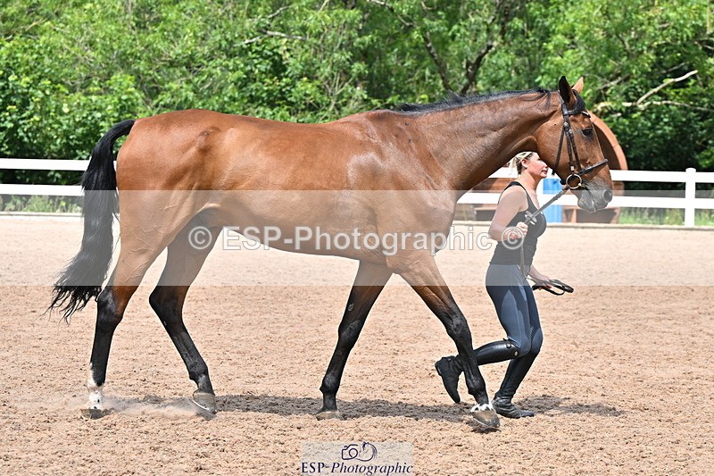 240718A-105320-01856 - Trot Up 1pm to 2pm