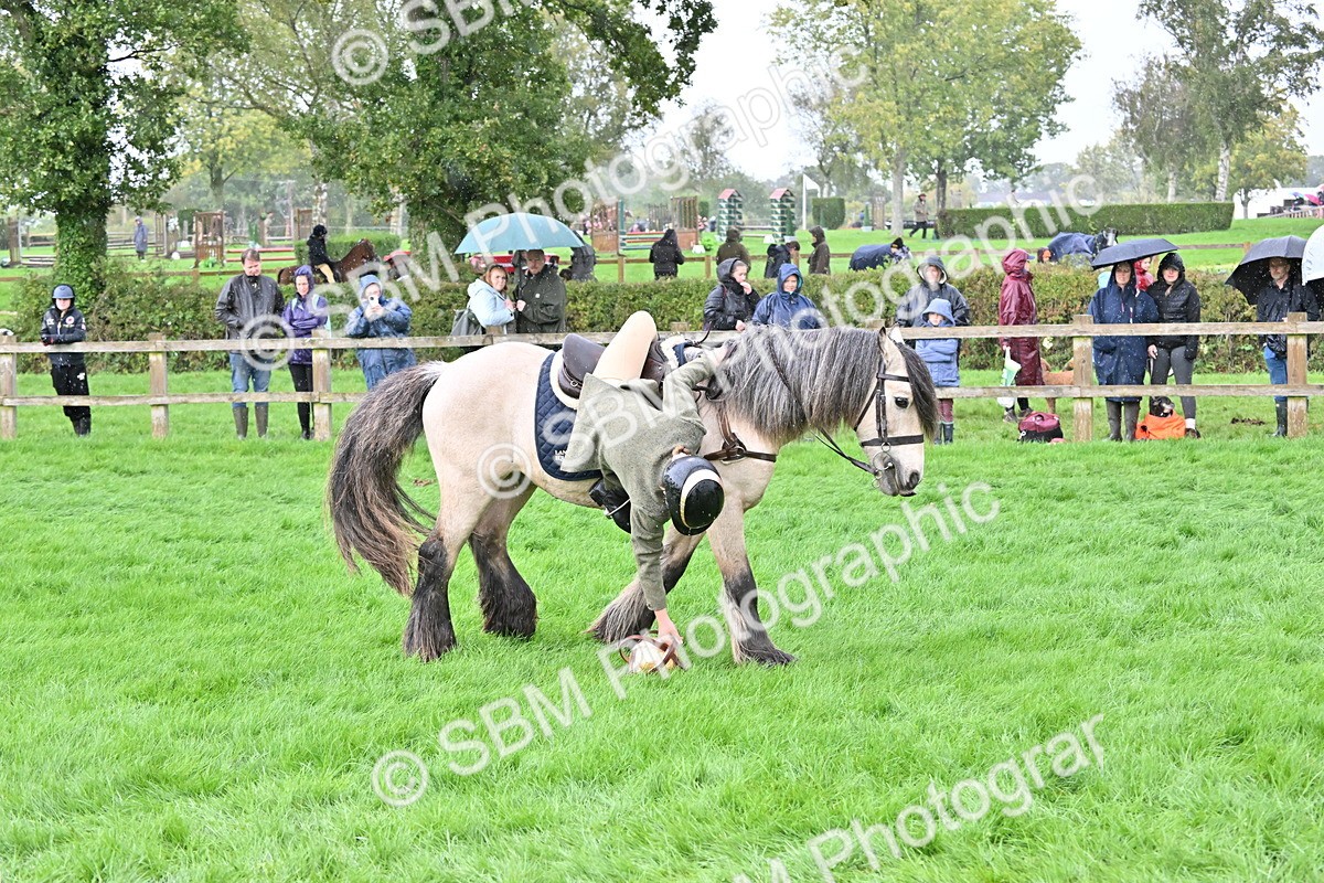 SBM_43017 - S12 - Family Horse & Pony