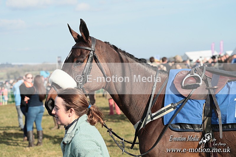 PtP 010325 375 - Beaufort Races Didmarton 01/03/25