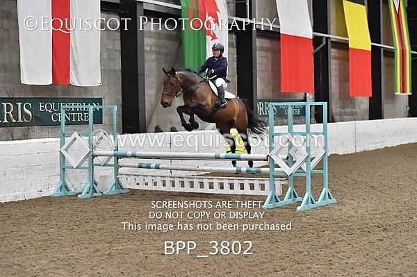 BPP_3802 - FRI CLASS 21 BR NOVICE/90CM