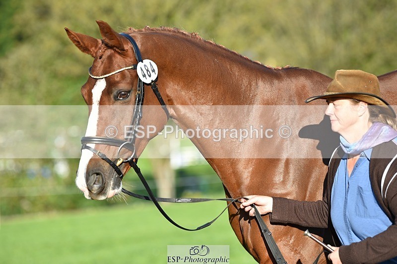 231022-095218-22086 - 484-JESATRAN.FIRECRACKER-Sally.Morton-TrotUp+SJ